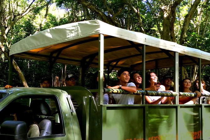 Kualoa Ranch: Jungle Expedition Tour - Why this corner of Oahu feels different