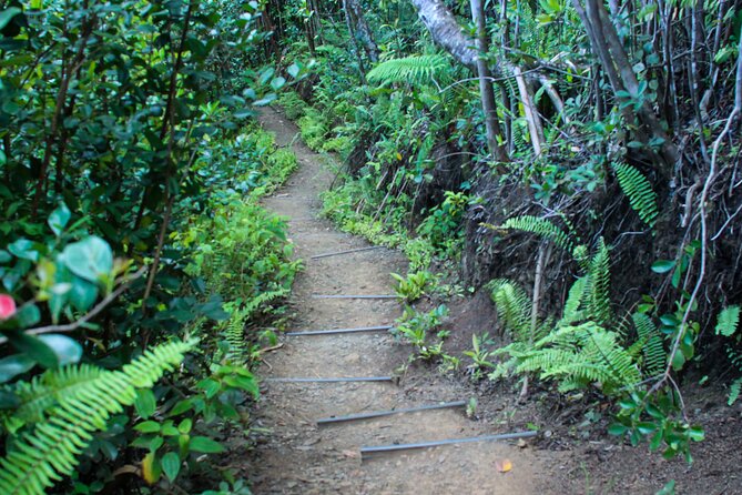 Kualoa Ranch: Jungle Expedition Tour - What you see on the ranch roads