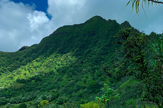 Kualoa Ranch: Jungle Expedition Tour - The best match for families and active sightseers