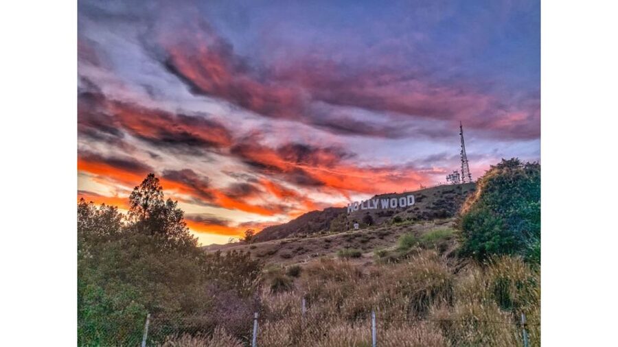 LA: Hollywood Sign Tour with Comedians, Dogs, & Epic Photos - The climb through the Hollywood Hills