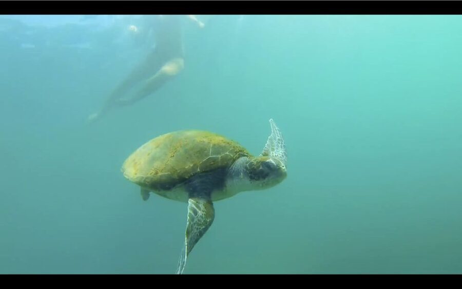 La Jolla: 2-Hour Kayak Tour of the 7 Caves - Wetsuits, lockers, and what to bring