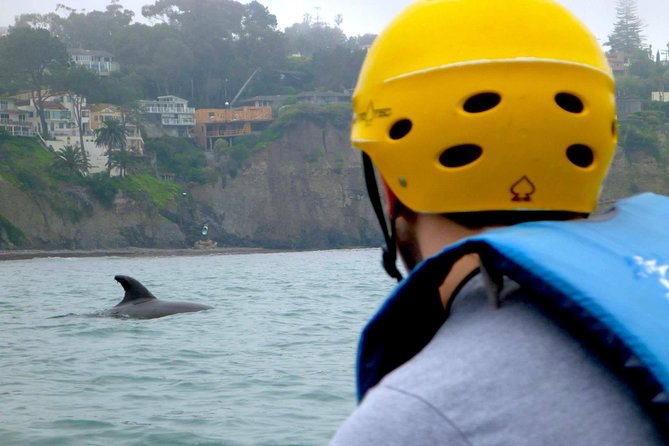La Jolla Sea Caves Kayak Tour For Two (Tandem Kayak) - Why this La Jolla paddle is worth your time