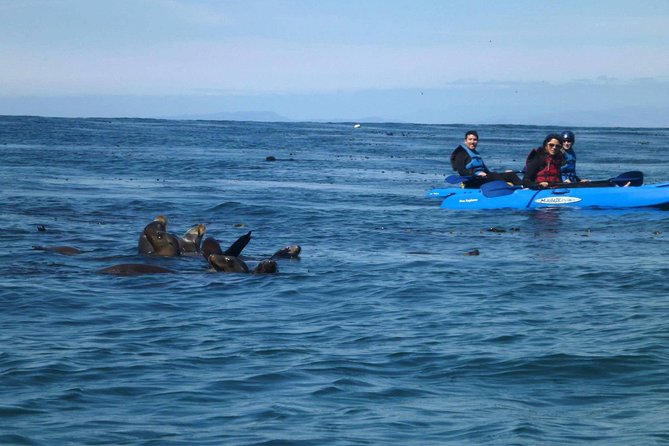 La Jolla Sea Caves Kayak Tour For Two (Tandem Kayak) - Meeting at Avenida de la Playa