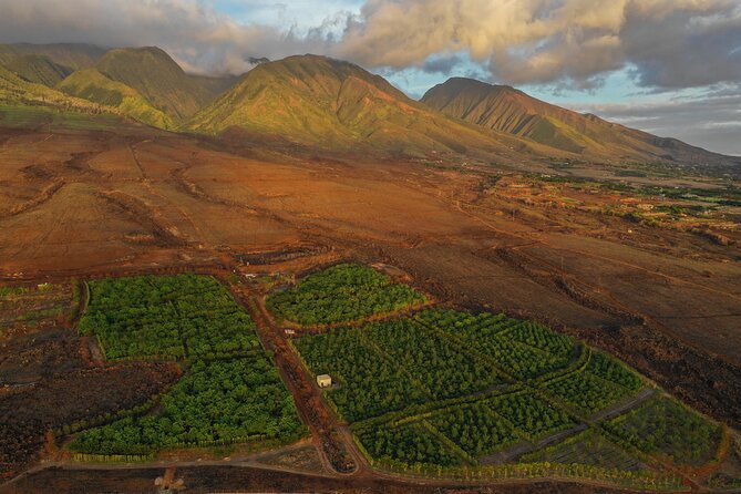 Lahaina: Maui Ku'ia Estate Guided Cacao Farm Tour and Tasting - What the $99.48 price really buys you