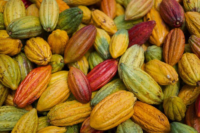 Lahaina: Maui Ku'ia Estate Guided Cacao Farm Tour and Tasting - The best reasons to choose this tour