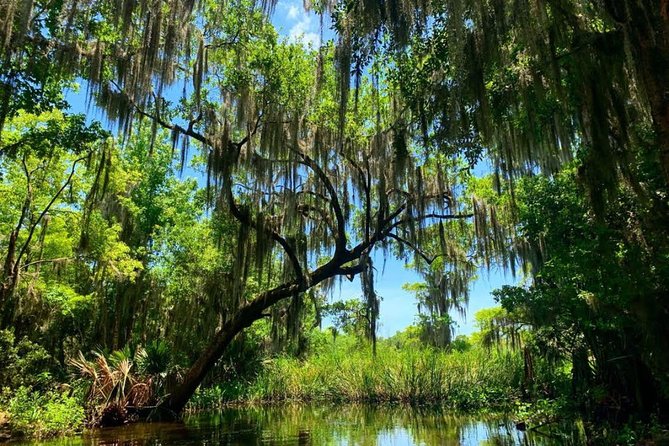 Large Airboat Swamp Tour with Transportation from New Orleans - Boarding the 16-passenger airboat