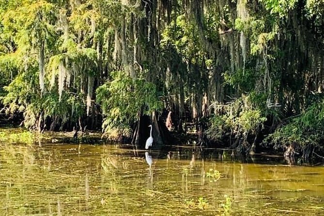 Large Airboat Swamp Tour with Transportation from New Orleans - Is the airboat ride too rough?