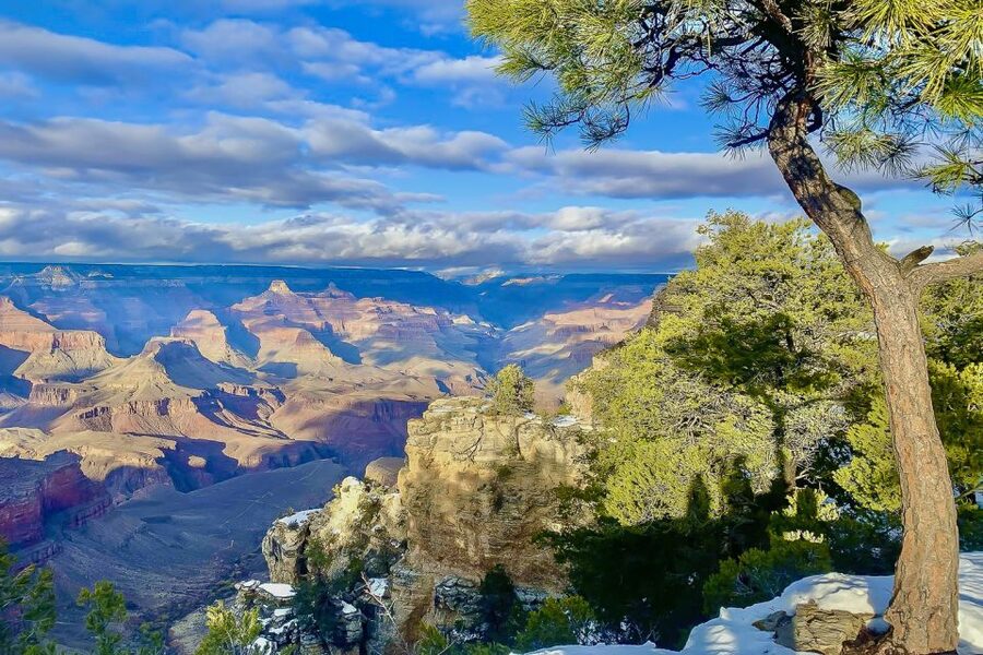 Las Vegas: Grand Canyon National Park South Rim Guided Tour - The Visitor Center, Yavapai Museum, and Trail of Time