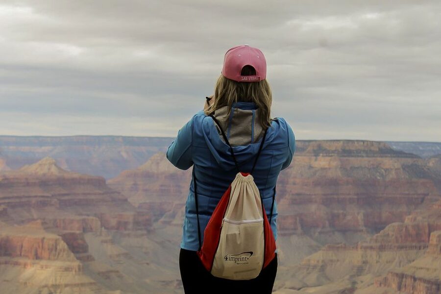 Las Vegas: Grand Canyon National Park South Rim Guided Tour - Historic Route 66 through Kingman and Seligman