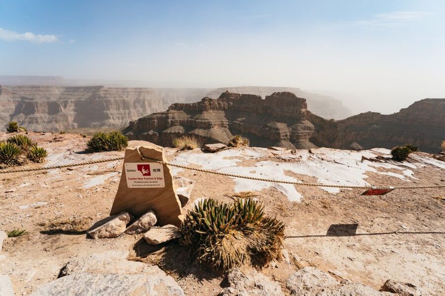 Las Vegas: Grand Canyon West & Hoover Dam Tour + Breakfast - Joshua Tree Forest: a useful change of scenery