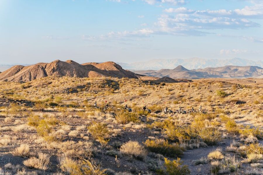 Las Vegas: Guided Las Vegas Desert ATV Tour - Desert views, dust, and possible wildlife