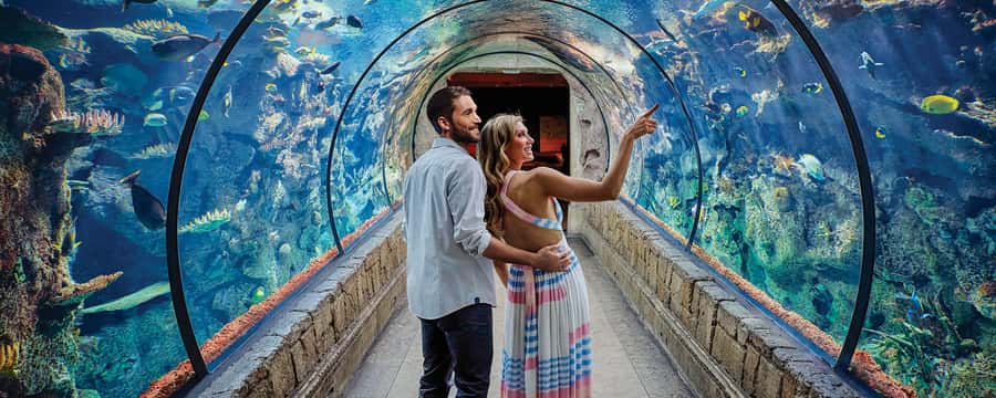 Las Vegas: Shark Reef Aquarium Entry Ticket - The first rooms: a compact tour with plenty to see