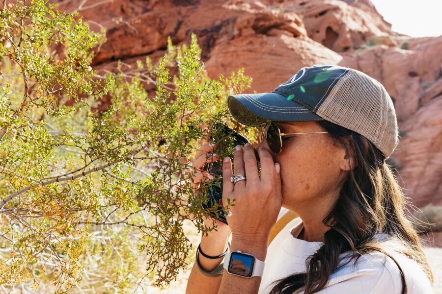 Las Vegas: Valley of Fire Guided Hike with Drinks and Snacks - Who should book this hike?