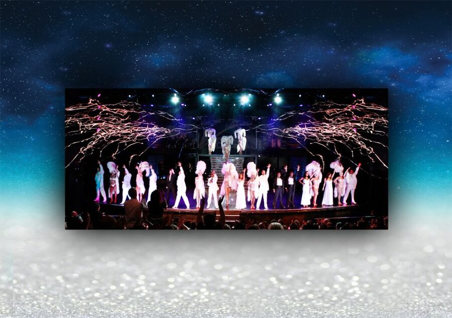 Las Vegas: Vegas! The Show Ticket - Practical details for a smooth evening