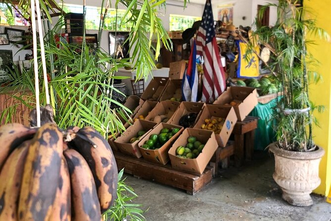 Little Havana: Authentic Food and Culture Walking Tour - Mojitos, ventanitas, and the Cuban coffee ritual