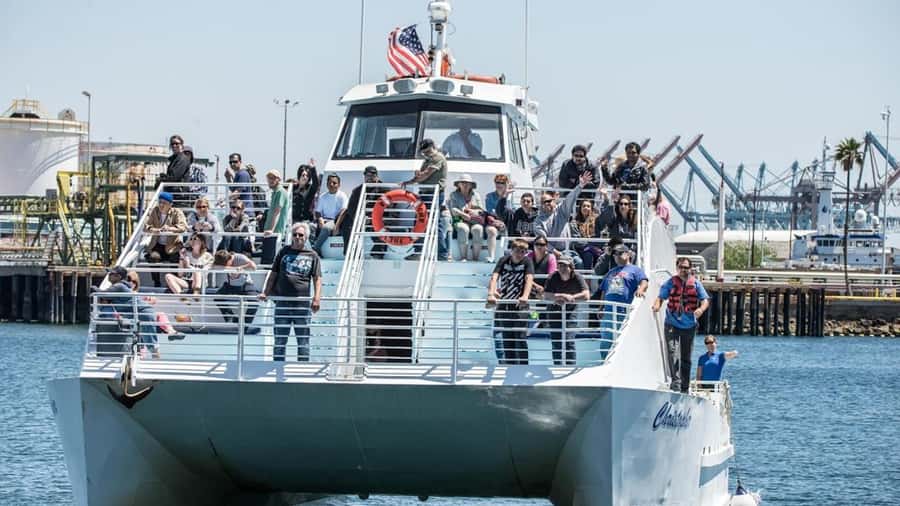 Long Beach: Whale and Dolphin Watching Cruise - A responsible way to view marine life