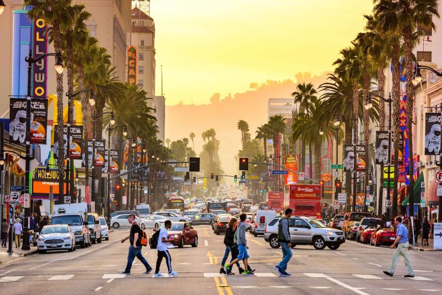 Los Angeles: Hop-On Hop-Off Bus Tour with Audio Guide - Downtown LA Purple Route: museums, food, and city history