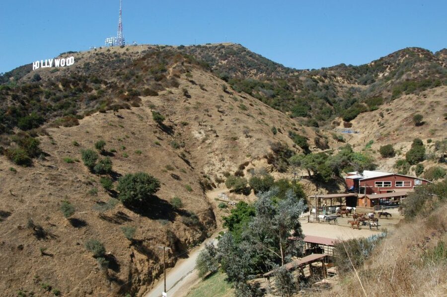 Los Angeles: Mulholland Trail Horseback Riding Tour - Why this ride feels different from ordinary sightseeing