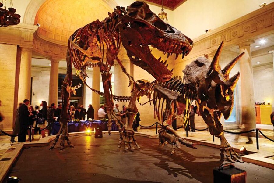 Los Angeles: Natural History Museum of LA Entry Ticket - Key points to know before you go
