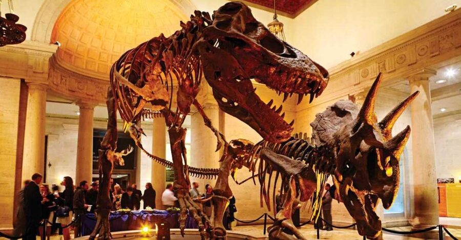 Los Angeles: Natural History Museum of LA Entry Ticket - Why the Natural History Museum earns a place in your LA plans