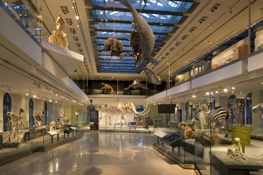 Los Angeles: Natural History Museum of LA Entry Ticket - Dino Lab and Dinosaur Encounters