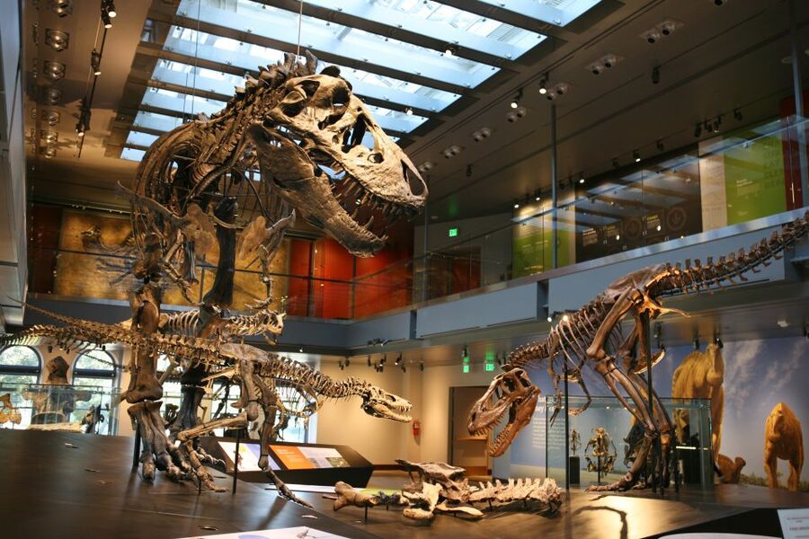 Los Angeles: Natural History Museum of LA Entry Ticket - Age of Mammals and the 65-million-year story