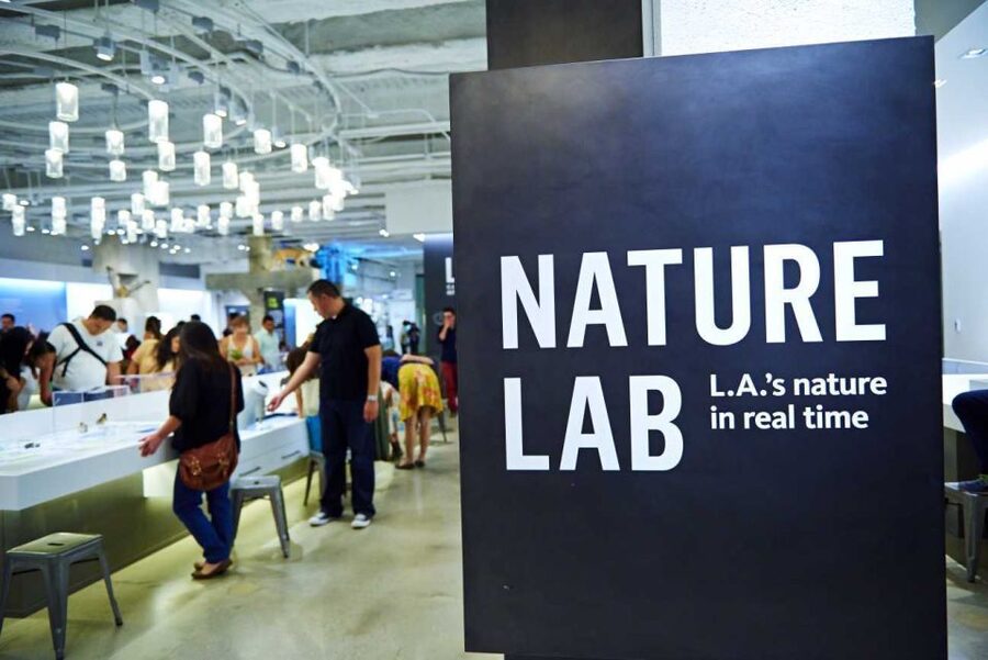 Los Angeles: Natural History Museum of LA Entry Ticket - The Mineral Hall and the museum vault
