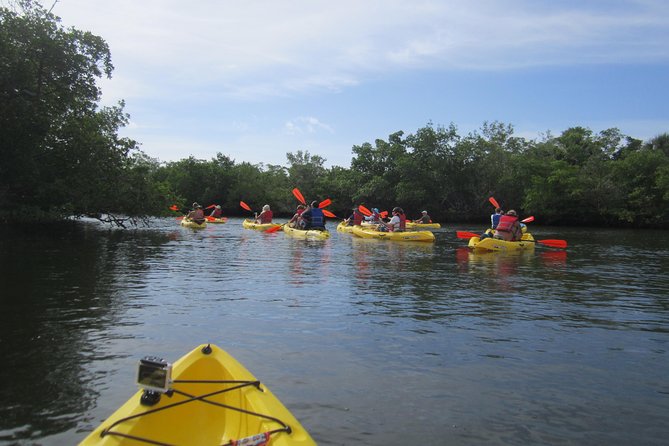Lovers Key Guided Eco Tour-Mangrove Estuary - Learning the mangroves instead of merely passing them