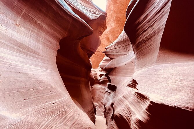 Lower Antelope Canyon and Horseshoe Bend Day Tour with Lunch - Lower Antelope Canyon, ladders and glowing sandstone