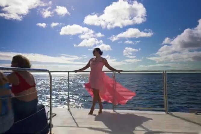 Luxury Catamaran Cruise from Oahu - Wildlife watching without guarantees