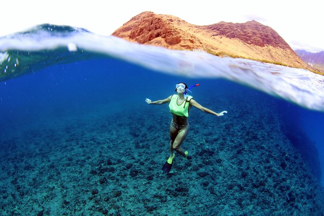 Luxury Snorkel Cruise, Local Buffet with Whale & Dolphin Watch - Watching Oahu’s western coast for whales and dolphins