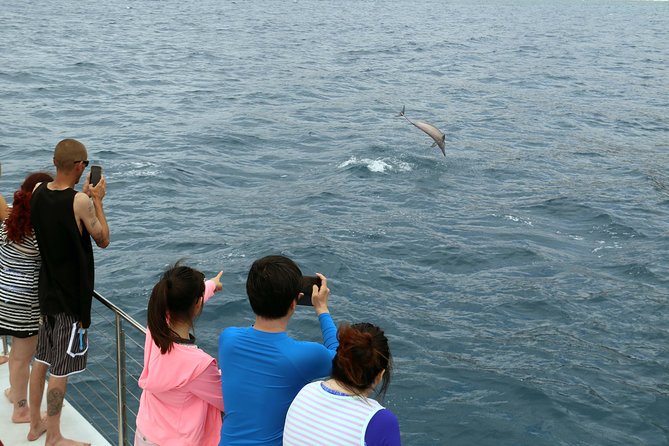 Luxury Snorkel Cruise, Local Buffet with Whale & Dolphin Watch - The Hawaiian buffet is more than a snack