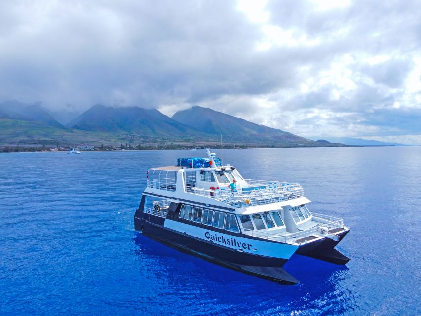 Ma'alaea Harbor: Whale Watching Tour Aboard Power Catamaran - Setting out from Maalaea Harbor