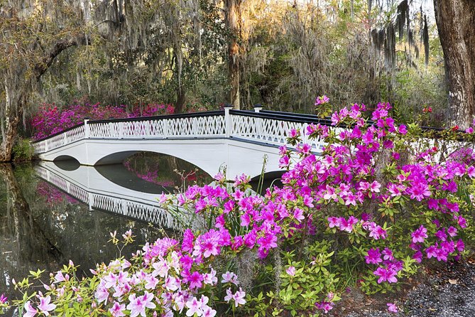 Magnolia Plantation Admission & Tour with Transportation from Charleston - The 40-minute ride from downtown Charleston