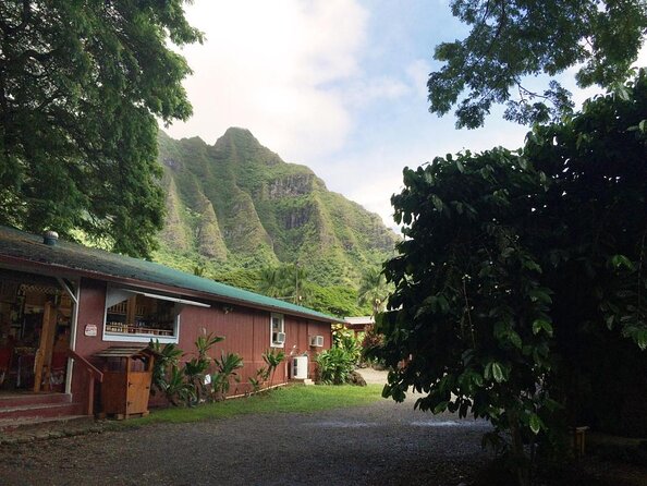 Majestic Circle Island Tour with Lunch - Nuʻuanu Pali Lookout puts the day in context