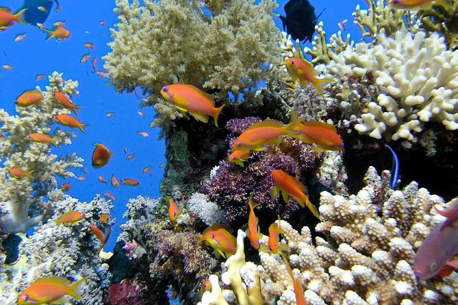 Makena Turtle Town Eco Adventure in Maui - The essentials at a glance