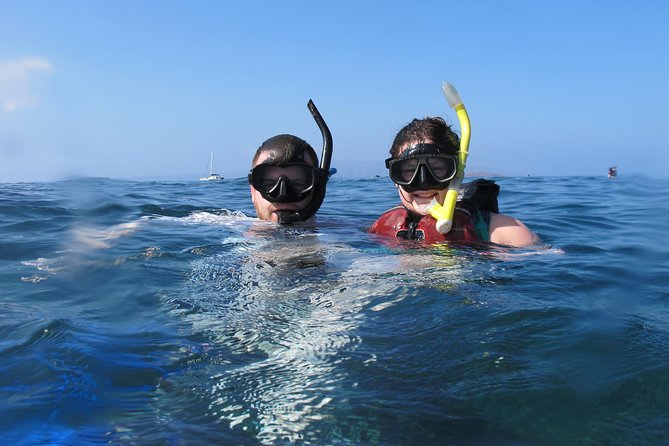 Makena Turtle Town Eco Adventure in Maui - Snorkeling with green sea turtles