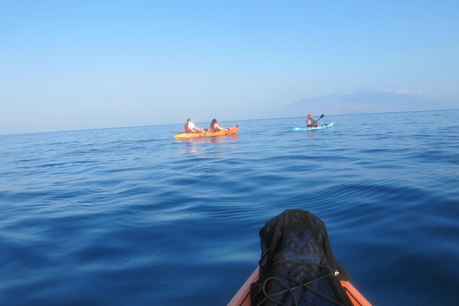 Makena Turtle Town Eco Adventure in Maui - The guides make the difference