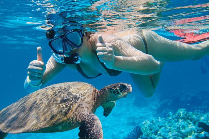 Makena Turtle Town Eco Adventure in Maui - Paddling the South Maui coast