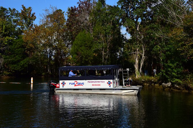 Manatee Snorkel Small Group Tour - Six things to know before you book
