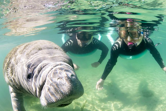 Manatee Snorkel Small Group Tour - Photos after the swim