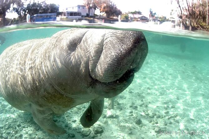 Manatee Snorkel Small Group Tour - The boat ride through the wildlife refuge