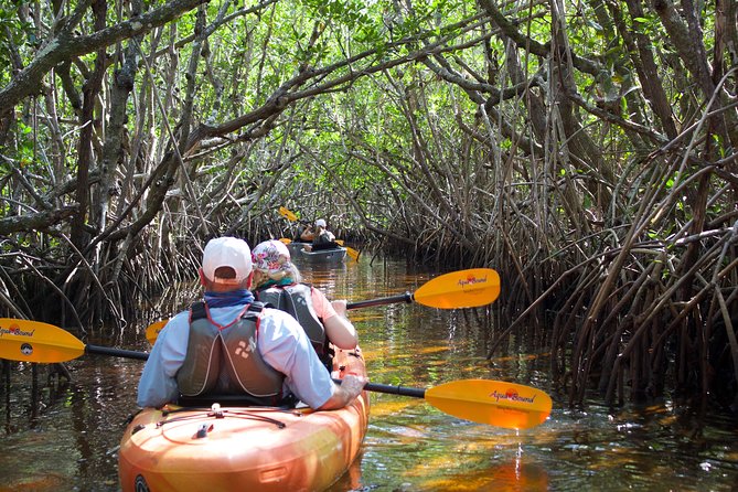 Manatees and Mangrove Tunnels Small Group Kayak Tour - Why this Naples kayak tour works so well