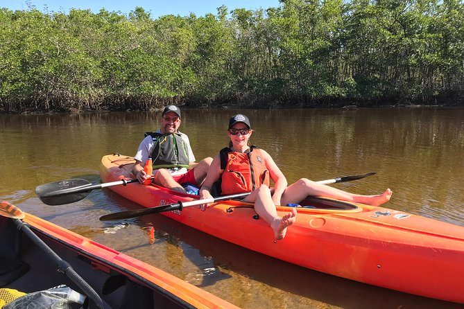 Manatees and Mangrove Tunnels Small Group Kayak Tour - Is $95 a good value?