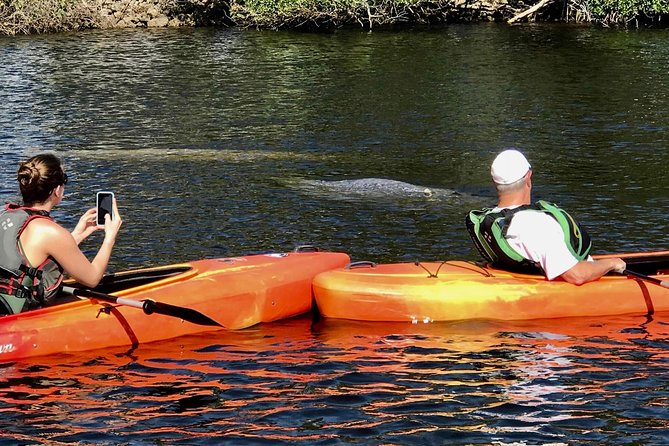 Manatees and Mangrove Tunnels Small Group Kayak Tour - The one-mile shuttle and four-mile paddle back