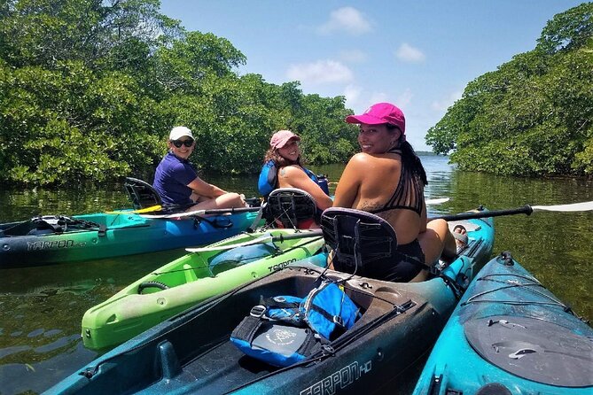 Mangrove Tunnel Kayak Adventure in Key Largo - The three-hour route through Key Largo’s mangroves