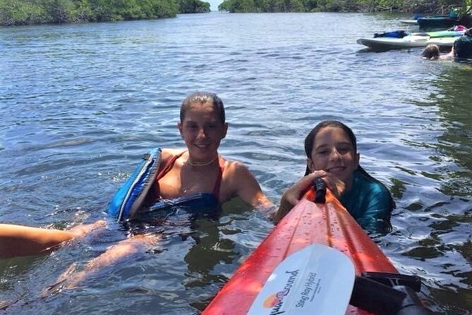 Mangrove Tunnel Kayak Adventure in Key Largo - Wildlife sightings depend on luck and conditions