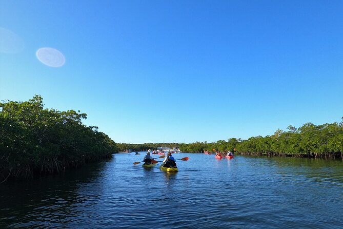 Mangrove Tunnel Kayak Adventure in Key Largo - Is the kayaking difficult?