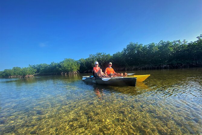 Mangrove Tunnel Kayak Adventure in Key Largo - Heat, mosquitoes, and the small things that matter