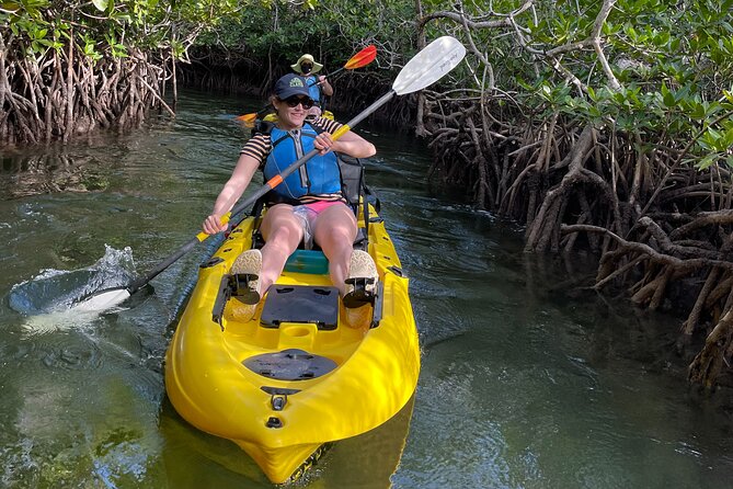 Mangrove Tunnel Kayak Adventure in Key Largo - What $68 includes, and whether it feels fair
